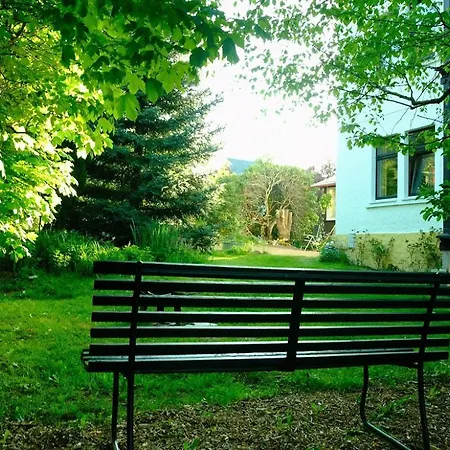 Lydia Altenberg (Erzgebirge)